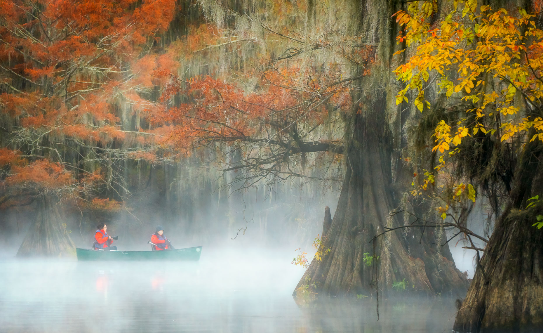 swamp-1